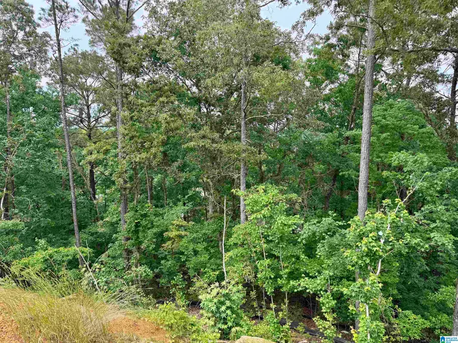 150 BROKEN ARROW LANE, Sylacauga, AL 35151 - #2
