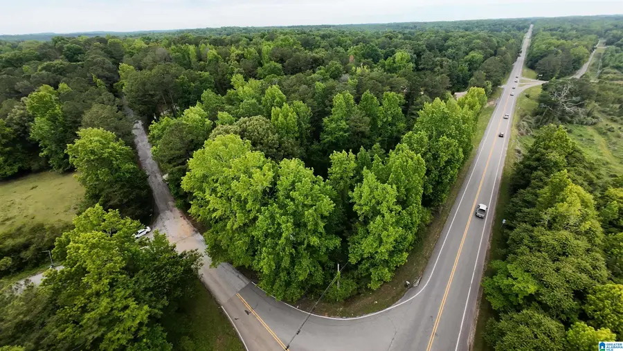 16 THRASH ROAD, Woodstock, AL 35188 - #3