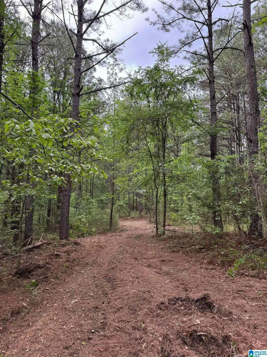 17 PRESBYTERIAN CHURCH ROAD, West Blocton, AL 35184 - #3