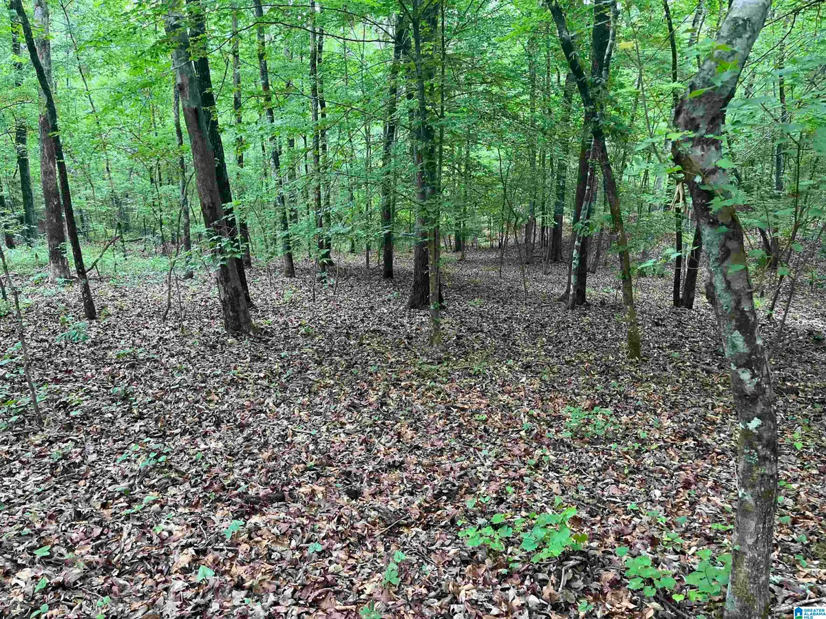 0 GILMER AVENUE, Tallassee, AL 36078 - #1