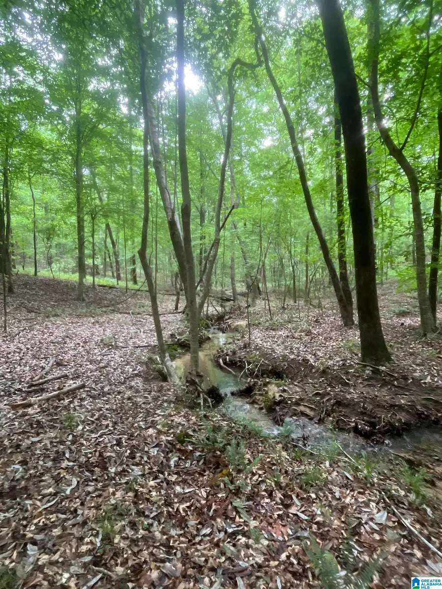 0 GILMER AVENUE, Tallassee, AL 36078 - #2