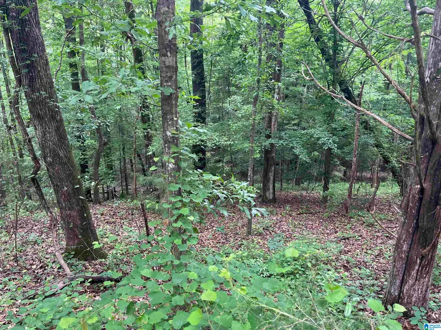 0 GILMER AVENUE, Tallassee, AL 36078 - #3