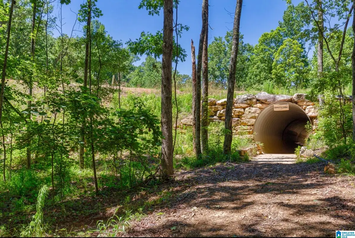 3080 OAKRIDGE WAY, Chelsea, AL 35043 - #1