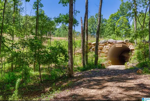 3080 OAKRIDGE WAY, Chelsea, AL 35043