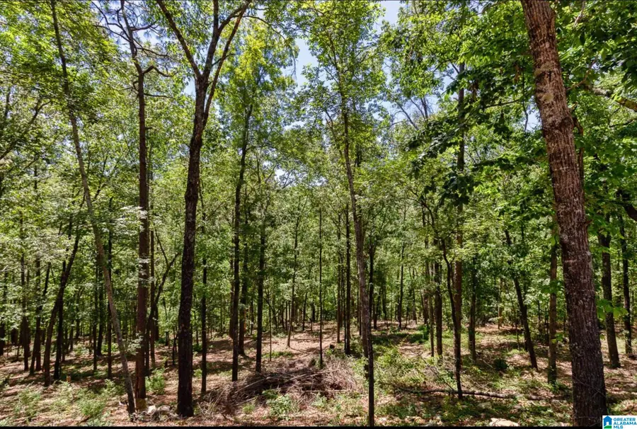 3056 OAKRIDGE WAY, Chelsea, AL 35043 - #3