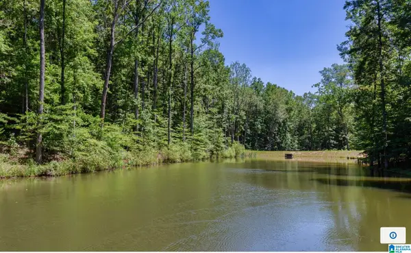 3064 OAKRIDGE WAY, Chelsea, AL 35043