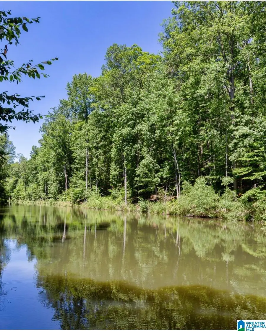 3064 OAKRIDGE WAY, Chelsea, AL 35043 - #2