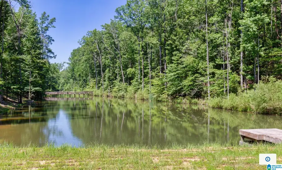 2056 LINDSAY LANE, Chelsea, AL 35043 - #3