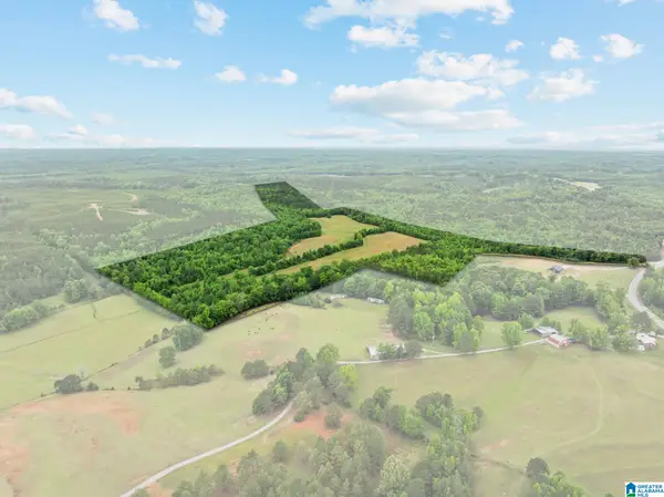 0 HWY 91, Maplesville, AL 36750