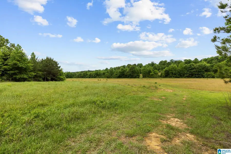 0 HWY 91, Maplesville, AL 36750 - #2