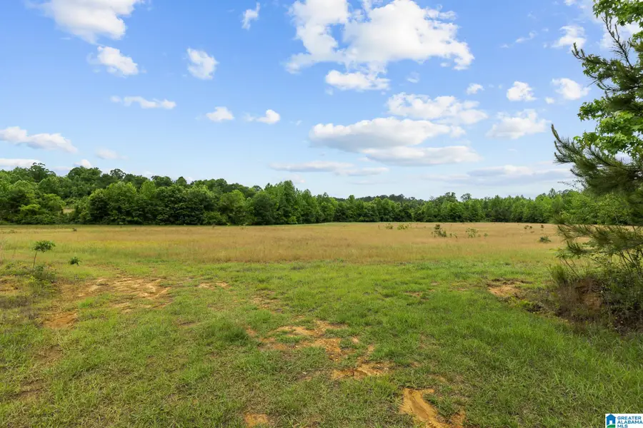 0 HWY 91, Maplesville, AL 36750 - #3