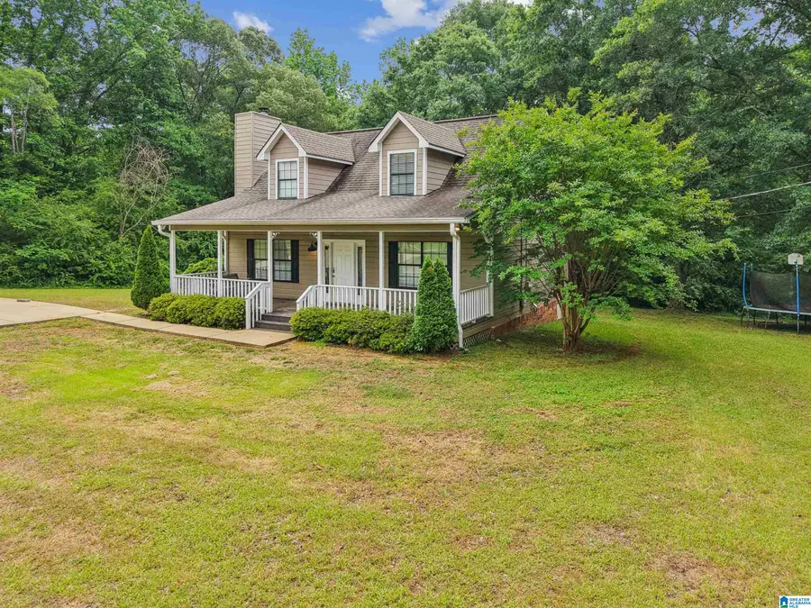 4780 WARRIOR JASPER ROAD, Dora, AL 35062 - #3