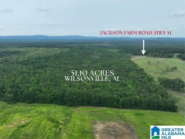 JACKSON FARM ROAD, Wilsonville, AL 35186 - #1