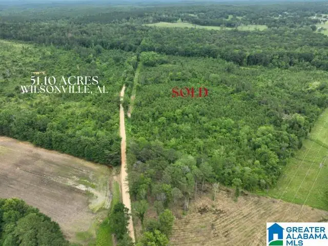 JACKSON FARM ROAD, Wilsonville, AL 35186 - #3