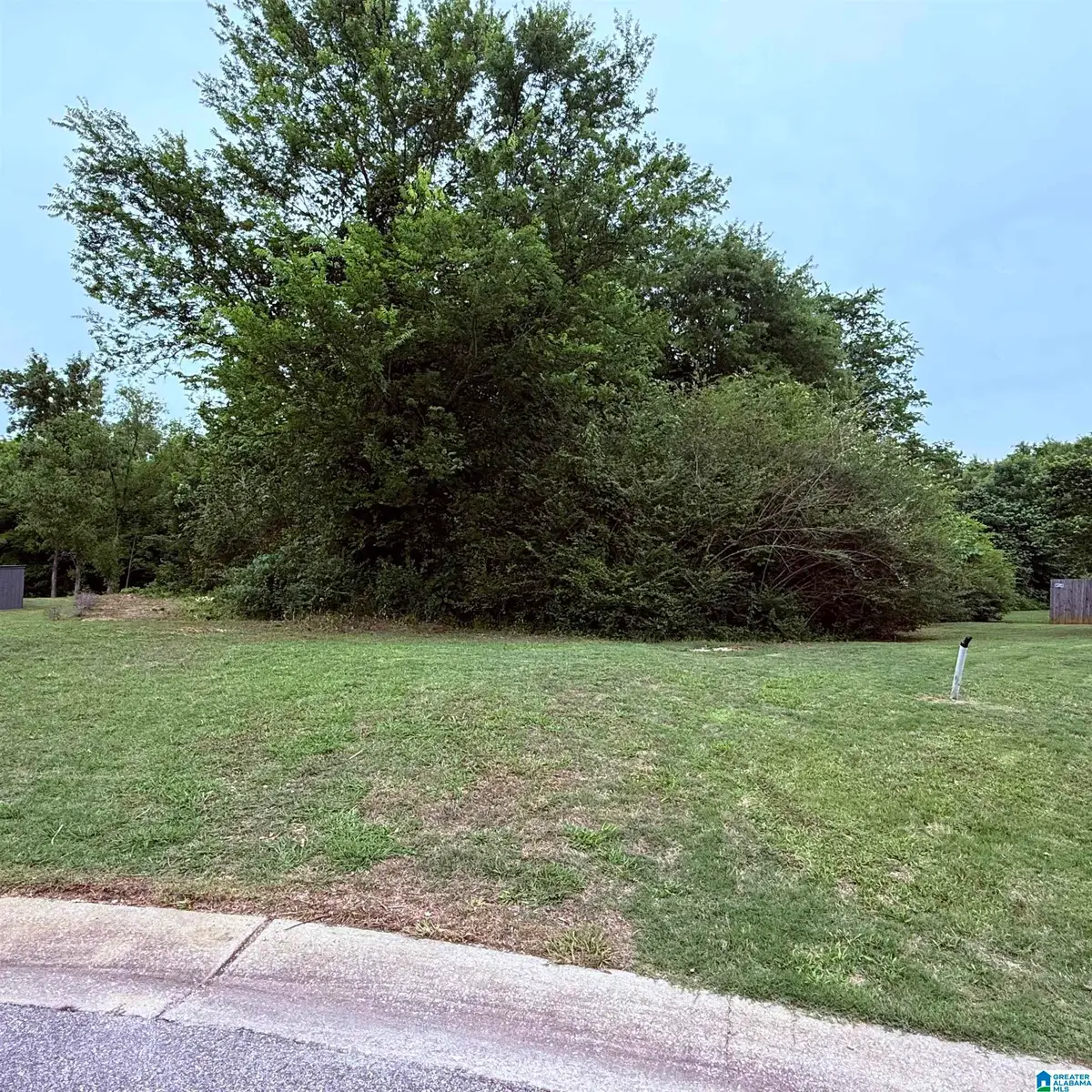 156 PATRIOT PARK, Montevallo, AL 35115 - #1
