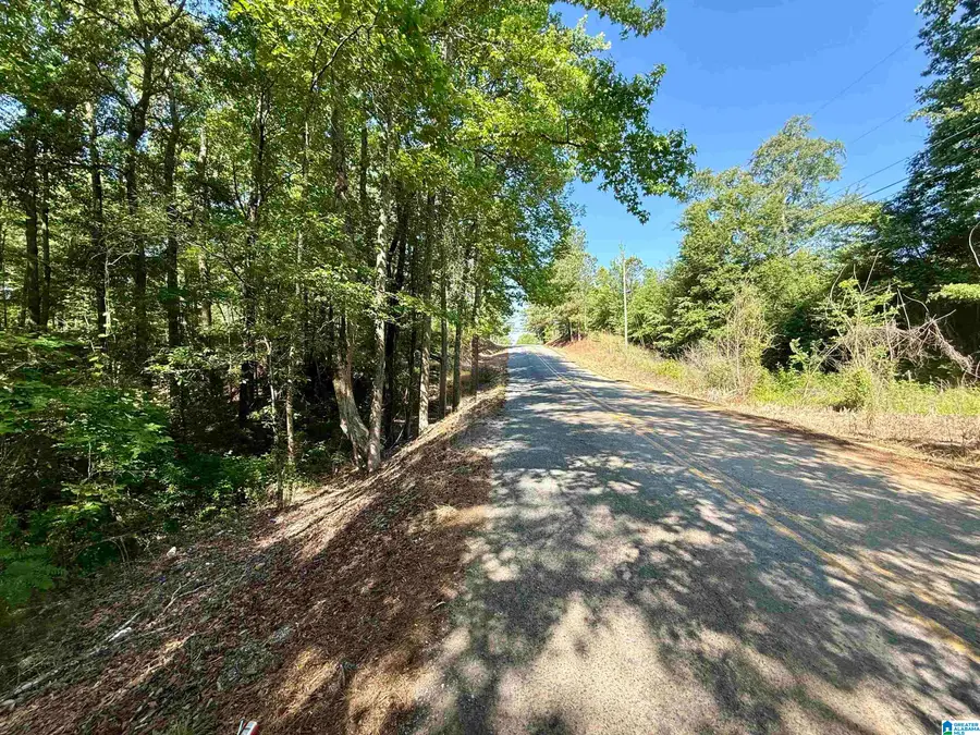 0 SETTLEMENT ROAD, Sylacauga, AL 35150 - #2