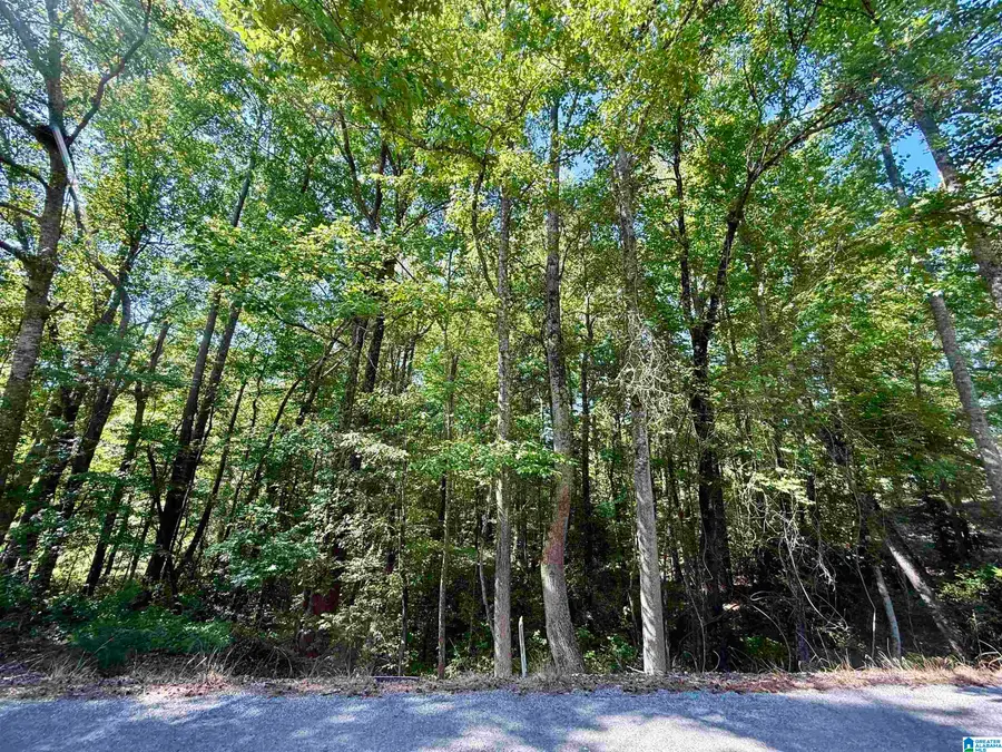 0 SETTLEMENT ROAD, Sylacauga, AL 35150 - #3