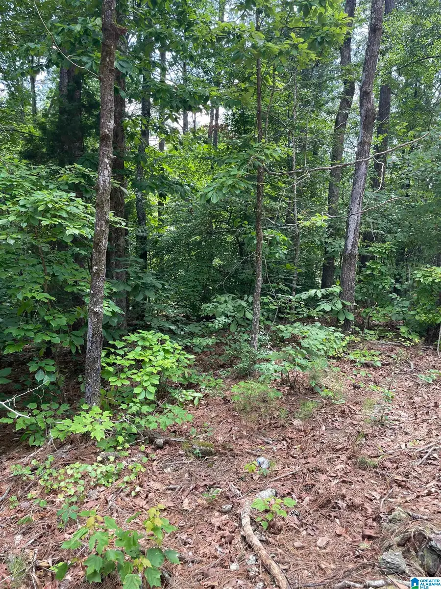 00 MITCHELL DRIVE, Abernant, AL 35111 - #2