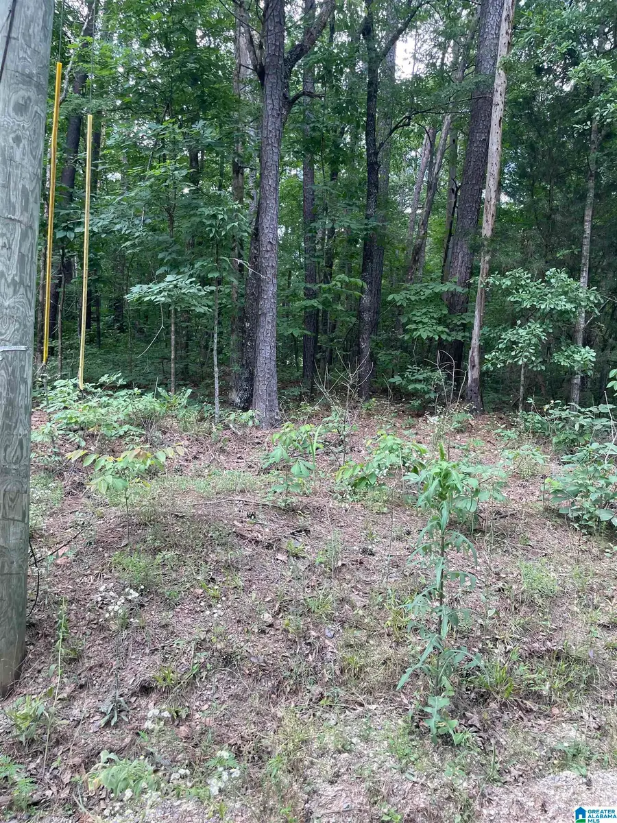 0 MURIEL DRIVE, Vance, AL 35490 - #2