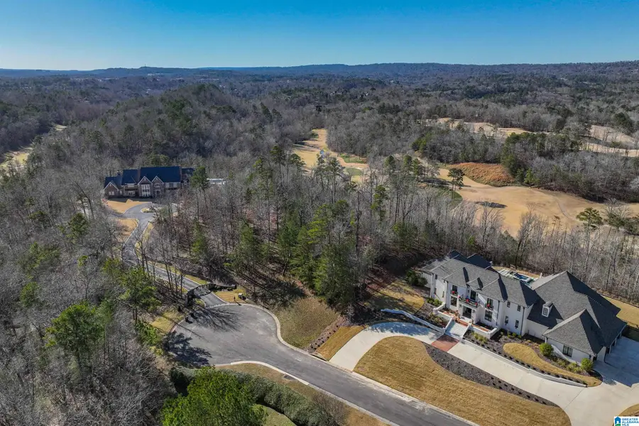 7290 KINGS MOUNTAIN ROAD, Vestavia Hills, AL 35242 - #3