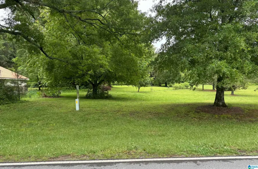2358 HIGHWAY 36, Oneonta, AL 35121 - #3