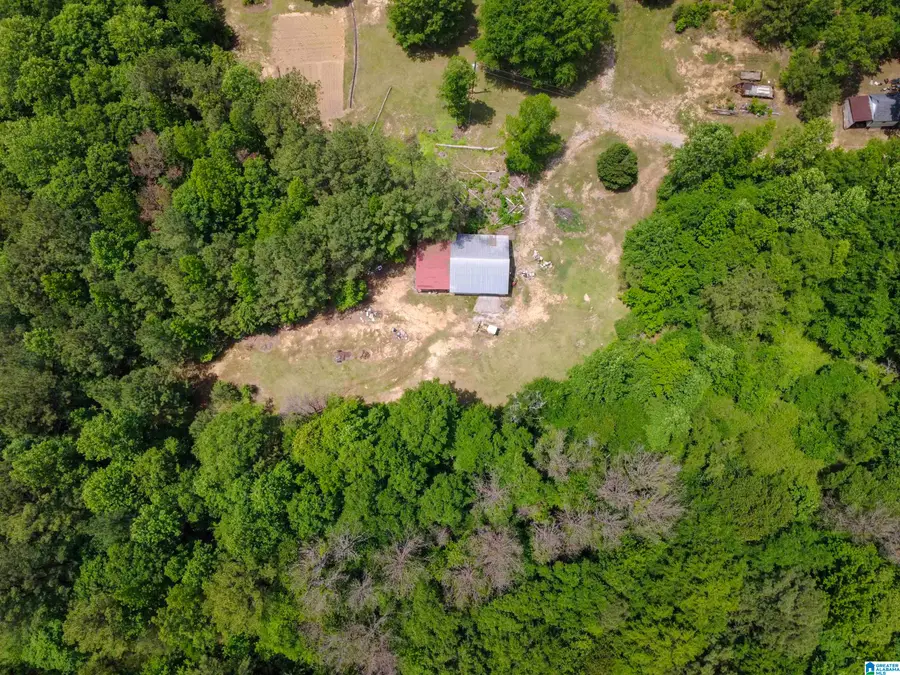 4561 COOK SPRINGS ROAD, Pell City, AL 35125 - #2