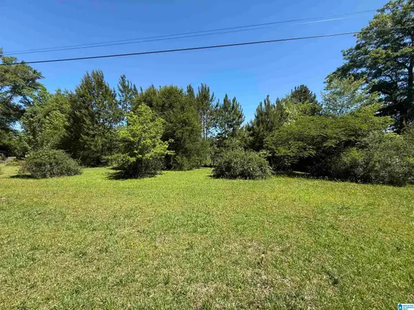 0 COOSA COUNTY ROAD 62, Kellyton, AL 35089