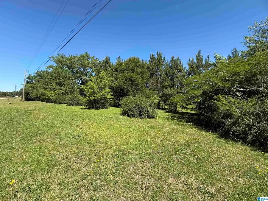 0 COOSA COUNTY ROAD 62, Kellyton, AL 35089 - #2