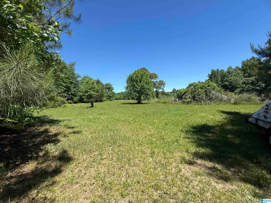 0 COOSA COUNTY ROAD 62, Kellyton, AL 35089 - #3
