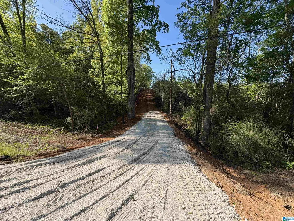 2-B OLD HIGHWAY 431, Wedowee, AL 36278 - #1