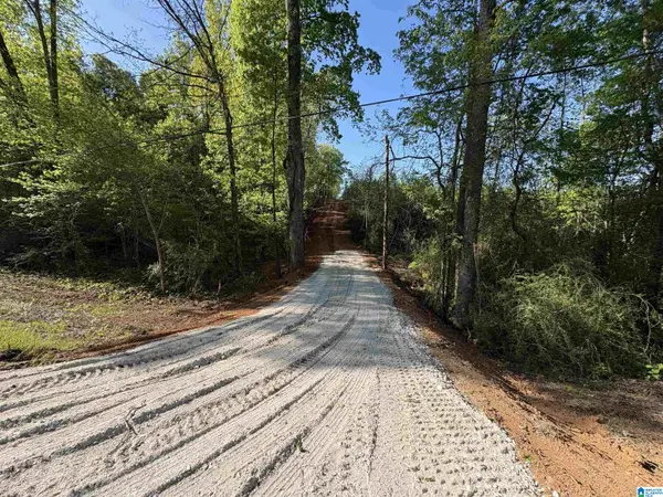 2-B OLD HIGHWAY 431, Wedowee, AL 36278