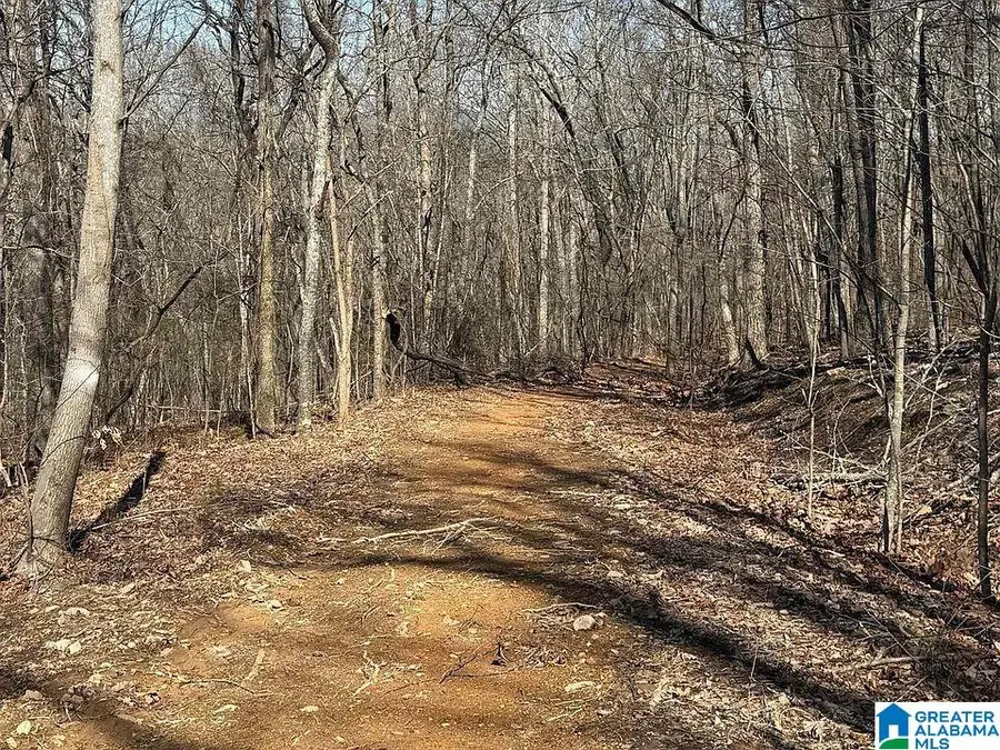 208 OVERLAND DRIVE, Piedmont, AL 36272 - #3