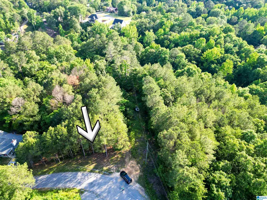 0 MALLARD POINT, Warrior, AL 35180 - #3