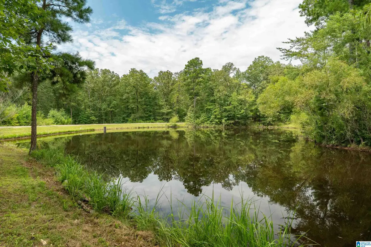 5720 BLACK CREEK DRIVE, Bessemer, AL 35022 - #1