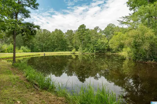 5720 BLACK CREEK DRIVE, Bessemer, AL 35022