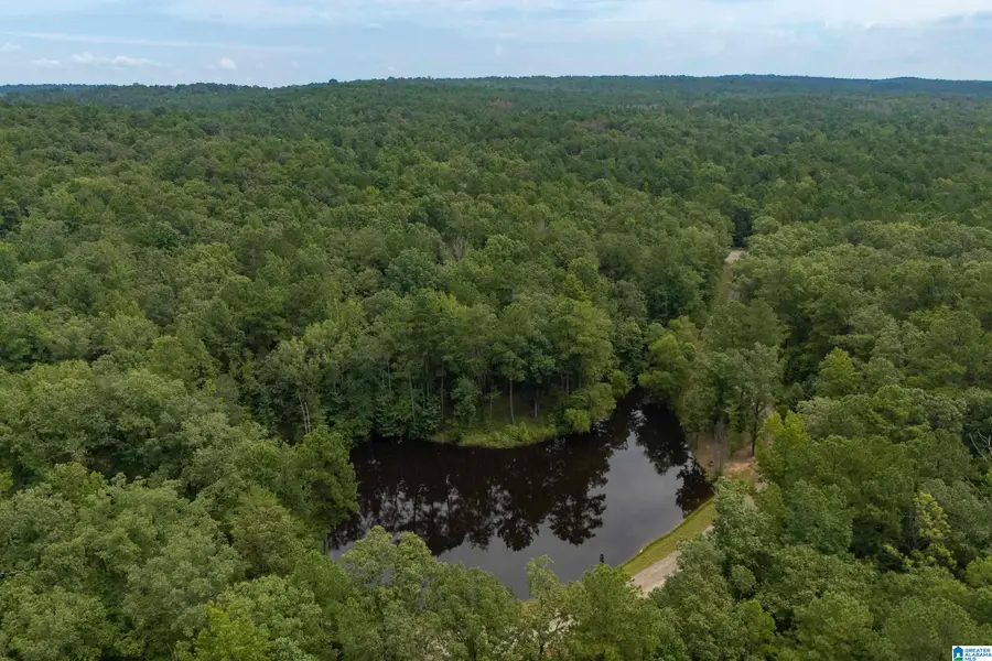5720 BLACK CREEK DRIVE, Bessemer, AL 35022 - #2