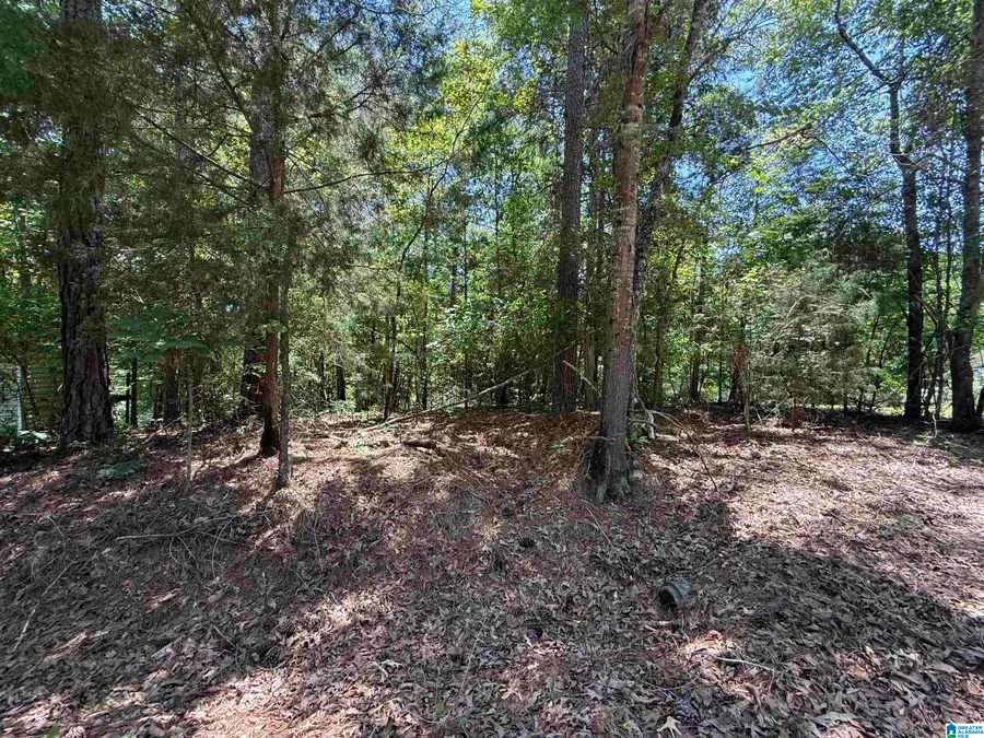 Lot 117 ASHBOROUGH DRIVE, Cottondale, AL 35453 - #3