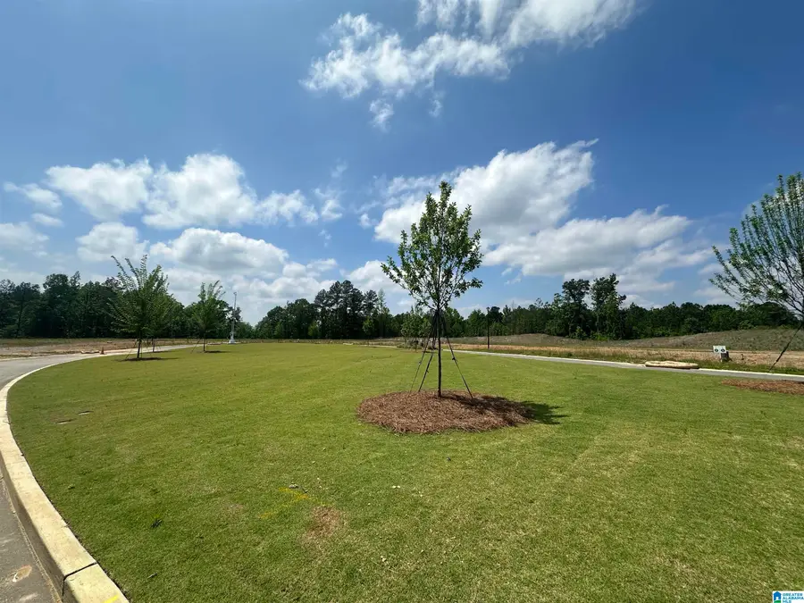 1011 WILTSHIRE LANE, Helena, AL 35080 - #3