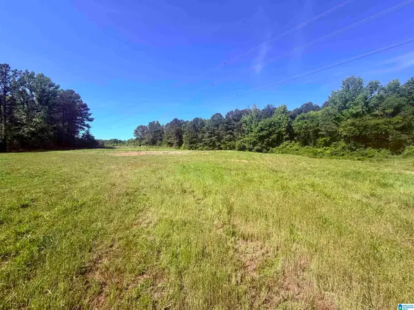 0 HIDDEN LAKE DRIVE, Empire, AL 35063