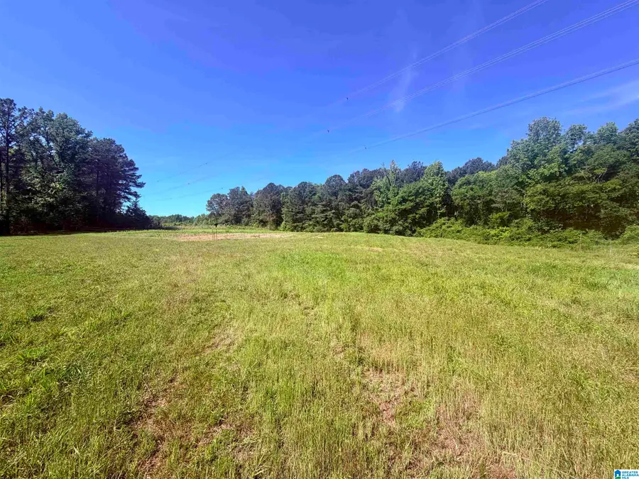 0 HIDDEN LAKE DRIVE, Empire, AL 35063 - #2