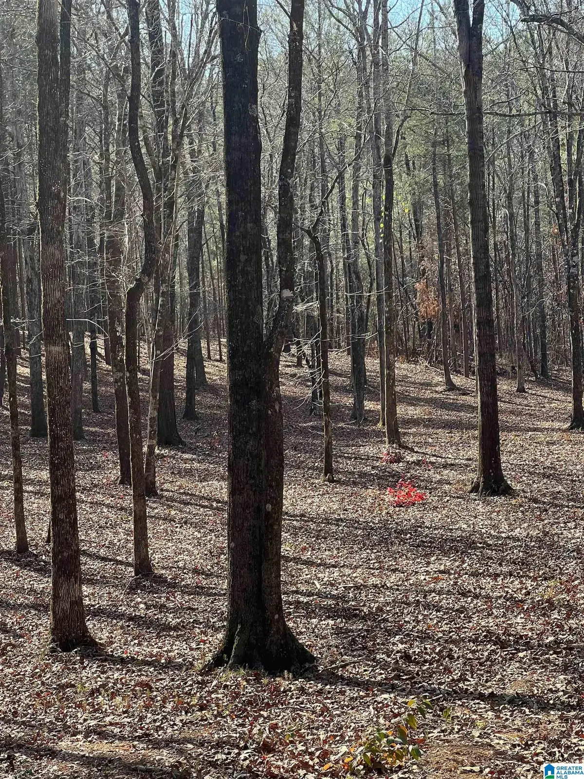 522 RONBAR ROAD, Columbiana, AL 35051 - #1