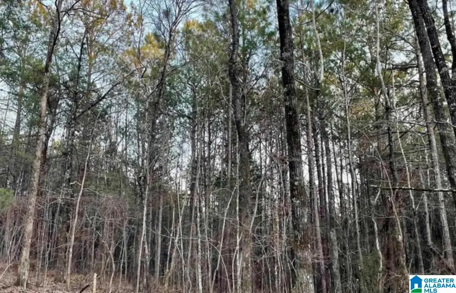 522 RONBAR ROAD, Columbiana, AL 35051 - #2