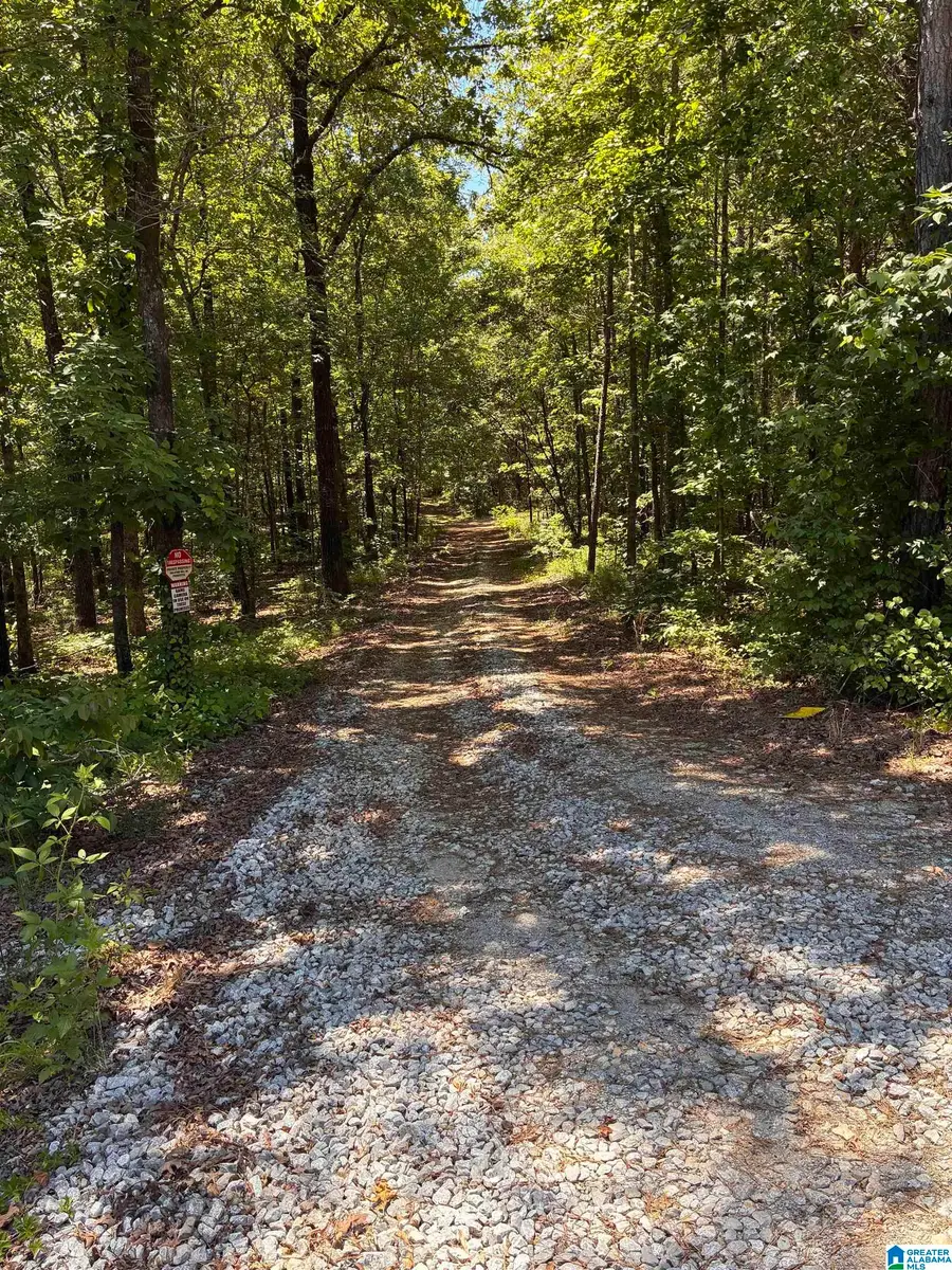 522 RONBAR ROAD, Columbiana, AL 35051 - #3