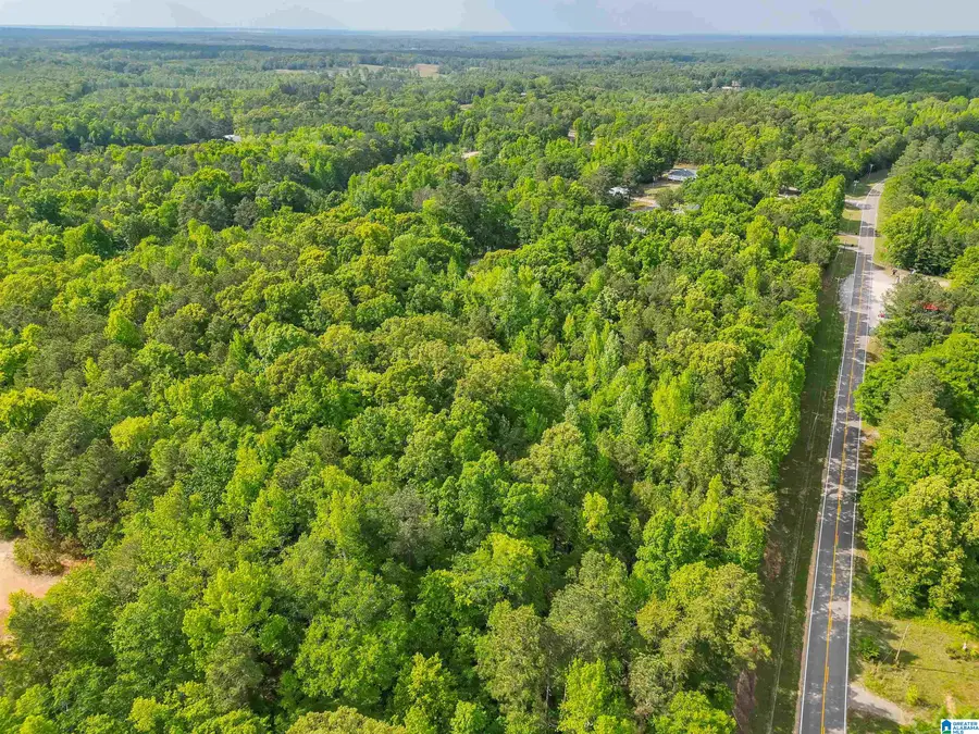 0 COUNTY ROAD 42, Jemison, AL 35085 - #2