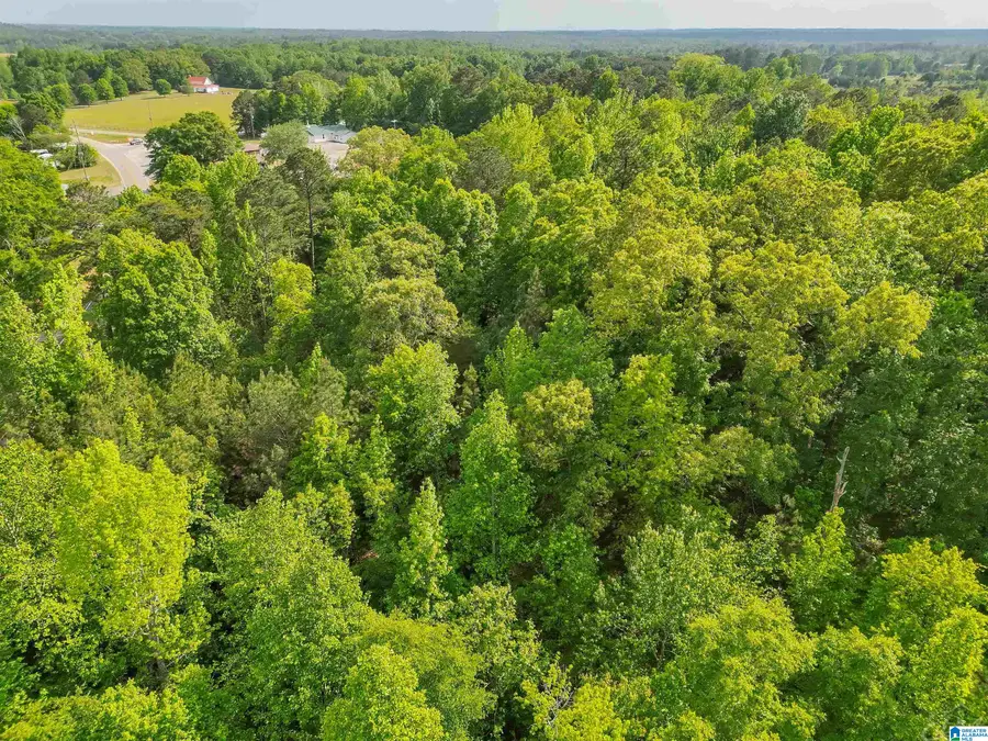 0 COUNTY ROAD 42, Jemison, AL 35085 - #3