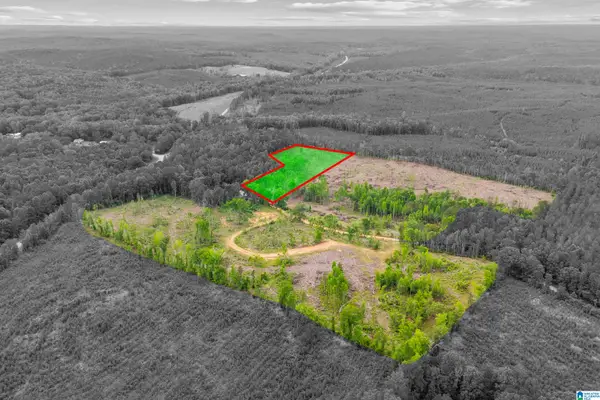 ACTIVE ROAD, Lawley, AL 36793