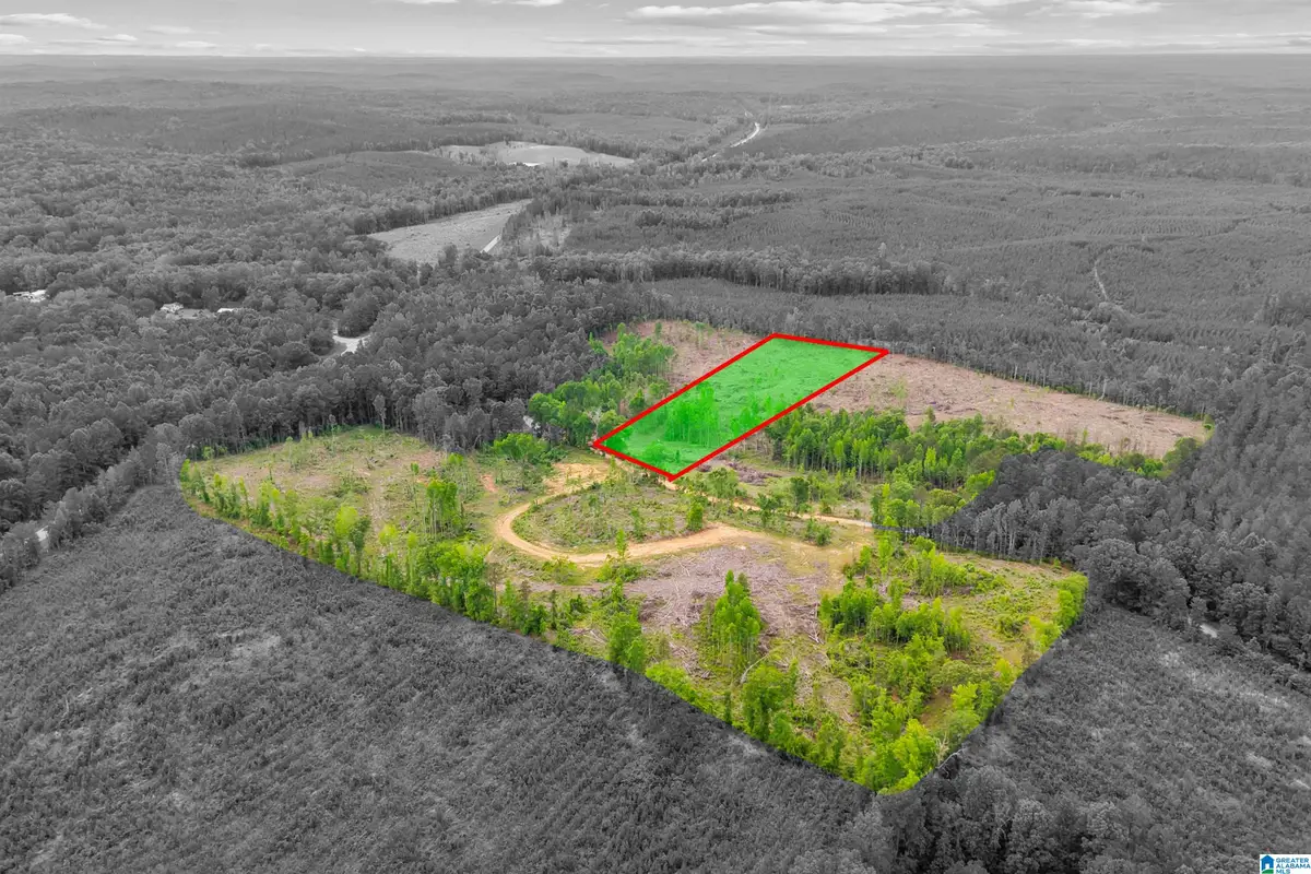 ACTIVE ROAD, Lawley, AL 36793 - #1