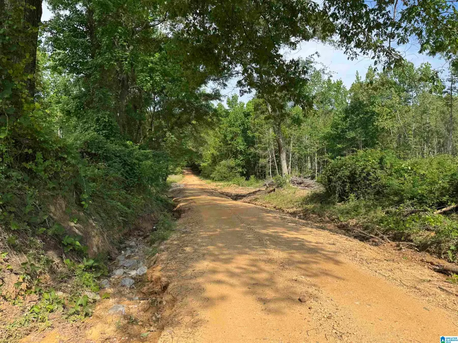 ACTIVE ROAD, Lawley, AL 36793 - #2