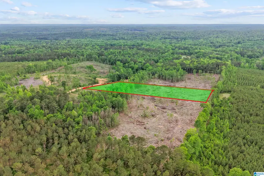 ACTIVE ROAD, Lawley, AL 36793 - #3