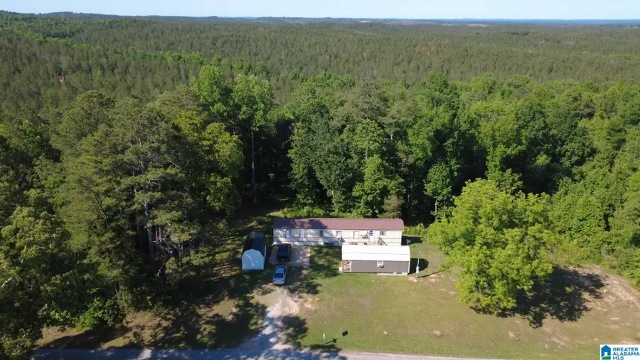 10701 COUNTY ROAD 66, Heflin, AL 36264 - #2